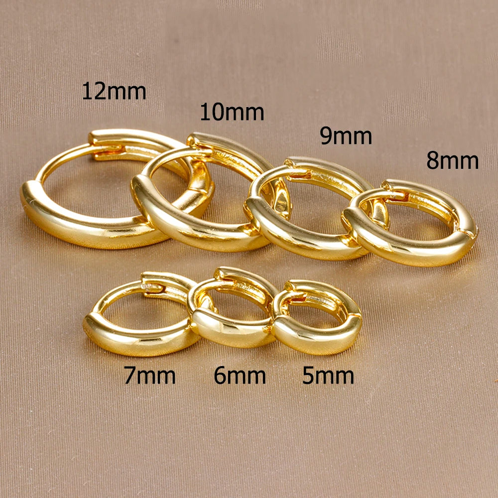 Small Gold Hoop Earrings with Crystals
